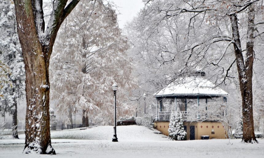 Winter Landscaping Tips: Keeping Your Garden Gorgeous in the Cold