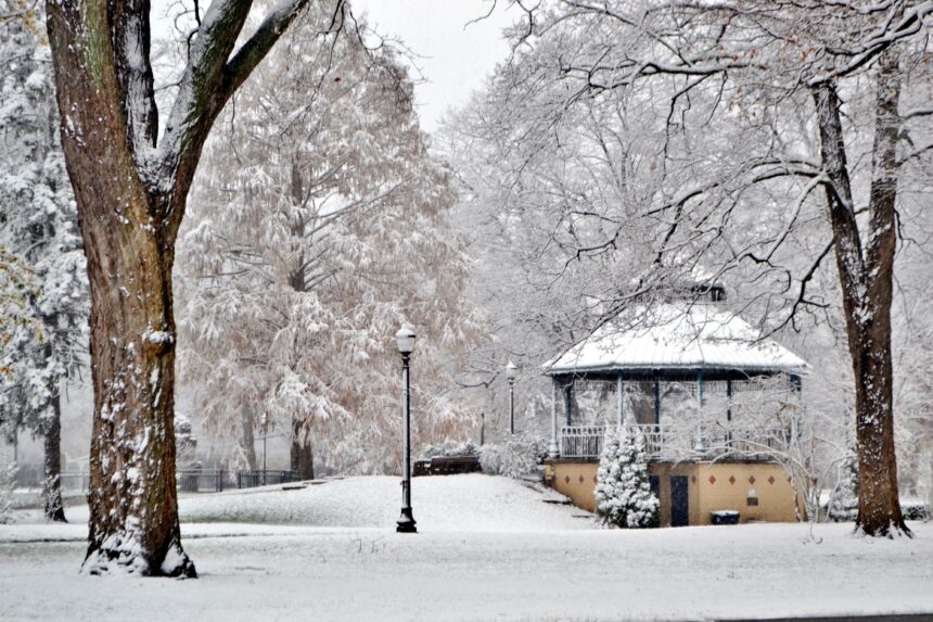 Winter Landscaping Tips: Keeping Your Garden Gorgeous in the Cold