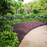 Spring Cleanup: The Essential Foundation for a Beautiful Landscape