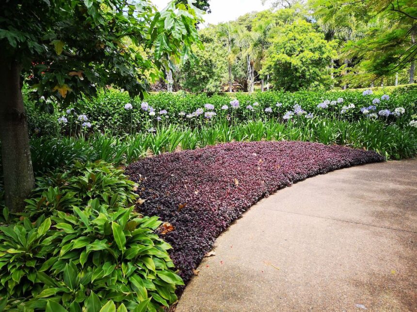Spring Cleanup: The Essential Foundation for a Beautiful Landscape