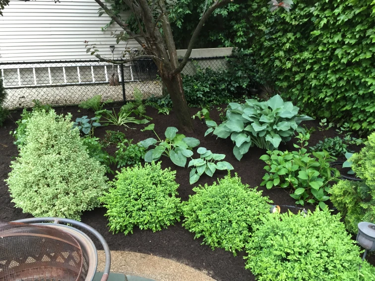 6 Important Summer Garden Maintenance Tips