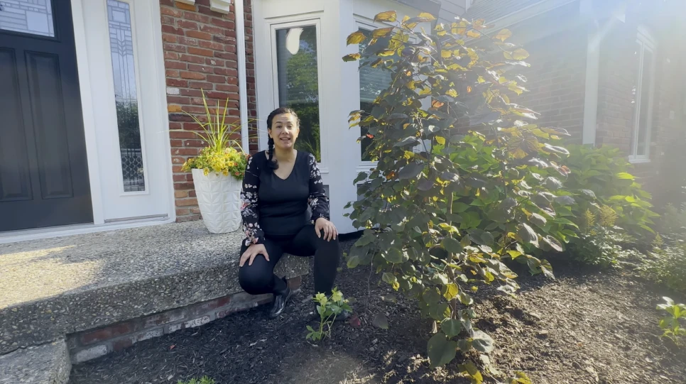Learn about the Cercis “Ruby Falls” Redbud (Video)